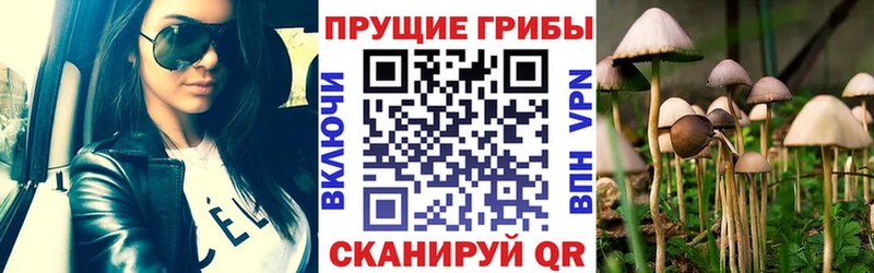 Галлюциногенные грибы прущие грибы  Купить закладки  Руза 